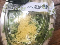 -油梨树 AVOCADO TREE(亮马桥店)