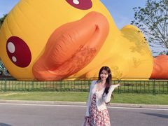 -东南花都花博园