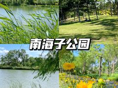 -南海子公园