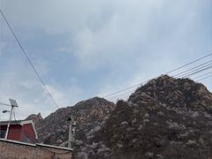 -大岭沟猕猴桃谷风景区