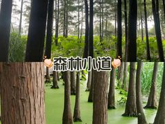 -云龙湖旅游景区