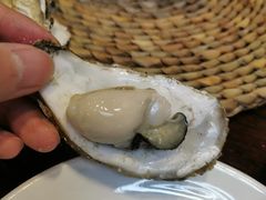 -海食焗(新光天地店)