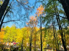 -青山湖景区