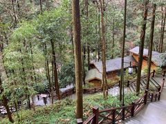 -宁海森林温泉