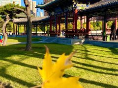 -迎泽公园