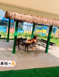 -萌宠亲子动物乐园(槐房万达店)