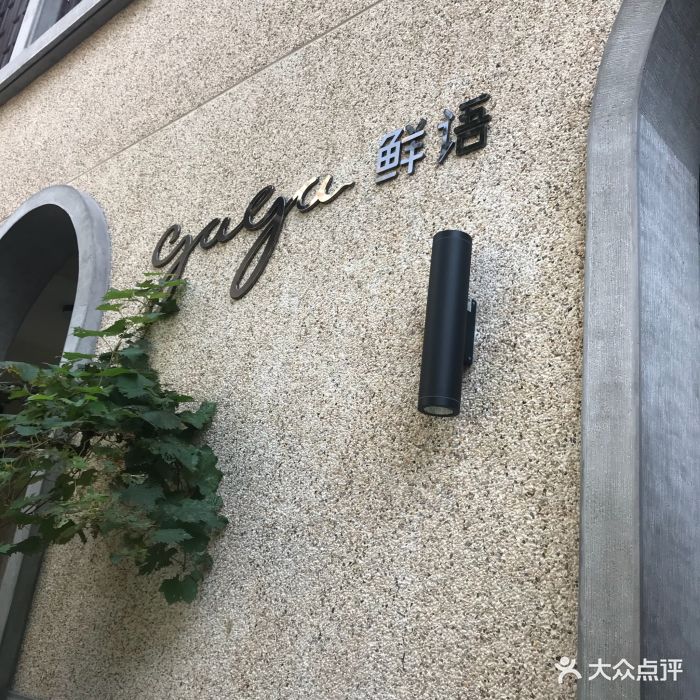 gaga鲜语(来福士店)-图片-上海美食-大众点评网