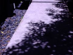 -胶囊画廊