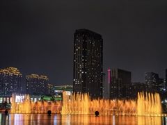 -金沙湖公园