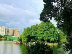 -荔湾湖公园