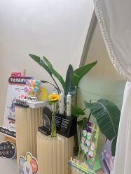 -Fundi张玉珊修身堂·indiba·BTL科技瘦身