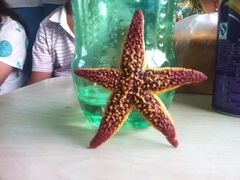 -仙浴湾广场