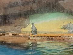 -海合安武汉极地海洋公园