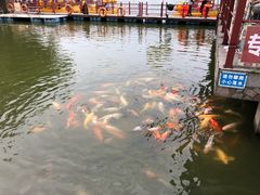 景点-珠海圆明新园