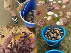 -巧克力渔家.小船海鲜胶东菜(万平口店)