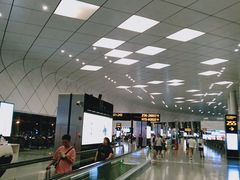 -郑州新郑国际机场-T2航站楼