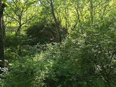 -云岫谷游猎自然风景区