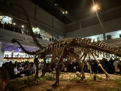 -自贡恐龙博物馆