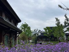 -石湖景区