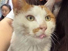 -平行世界·猫咖(首经贸店)