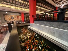 -龙悦湾酒家·八阵鱼生·渔人码头店