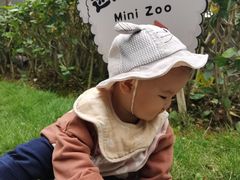 -南宁荔园维景国际酒店·荔园中餐厅