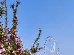 -石家庄市植物园