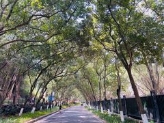 -广州市白云山风景名胜区