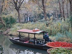 -西溪国家湿地公园