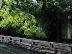 -西园戒幢律寺