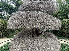 -苏州河梦清园环保主题公园