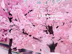 -金茂览秀城