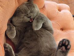 -Me Coffee下午茶艺术空间