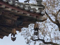 -独乐寺