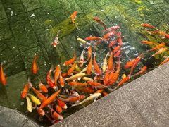 -惠食佳(滨江大公馆店)