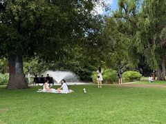 -墨尔本皇家植物园