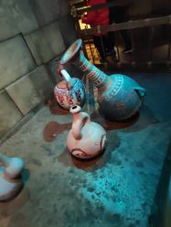 -翱翔飞越地平线