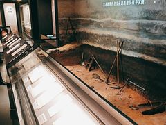 -四川大学博物馆