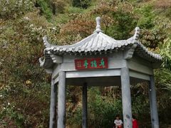 -羚羊峡古栈道森林公园