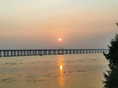 -宝安西湾红树林湿地公园