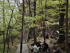 -五女峰国家森林公园