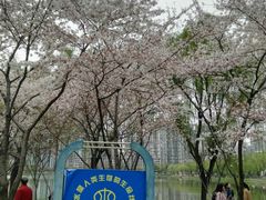 -西北湖绿化广场