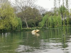 -西湖天地