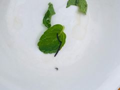 -攀枝花·任德琼·盐边羊肉米线