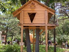 -北京西山国家森林公园