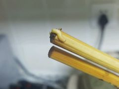 -上海市中医医院(芷江路院区)