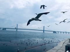 -星海广场
