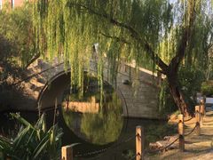 -上海财经大学(国定路校区)