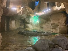 -咸宁万豪温泉谷度假区