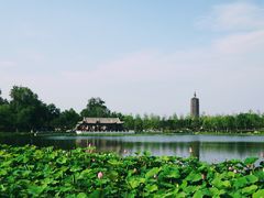 -西海子公园